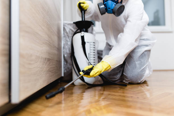 Best Pest Control for Homes  in Old Greenwich, CT