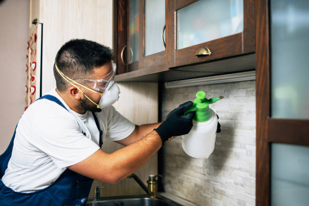 Trusted Old Greenwich, CT Pest Control Experts