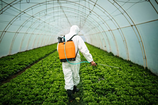 Best Commercial Pest Control Services  in Old Greenwich, CT