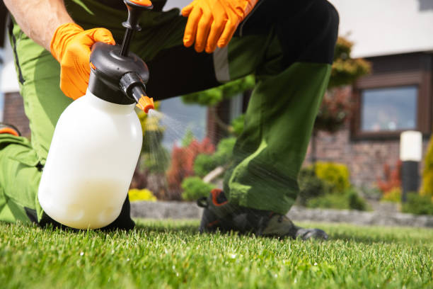 Best Best Pest Control Companies  in Old Greenwich, CT