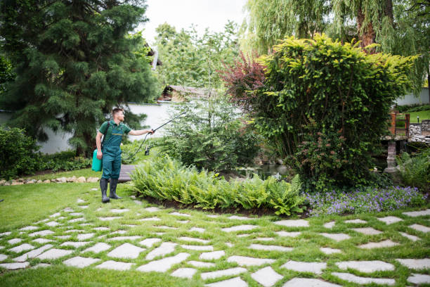 Best Local Pest Control Services  in Old Greenwich, CT