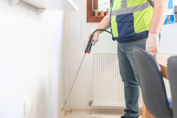 Best Affordable Pest Control Services  in Old Greenwich, CT