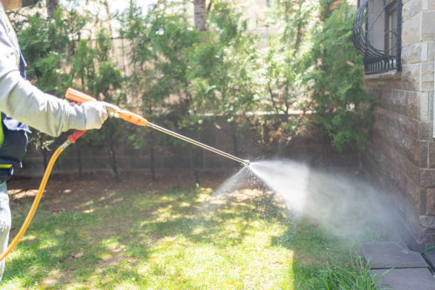 Best Termite Control Services  in Old Greenwich, CT